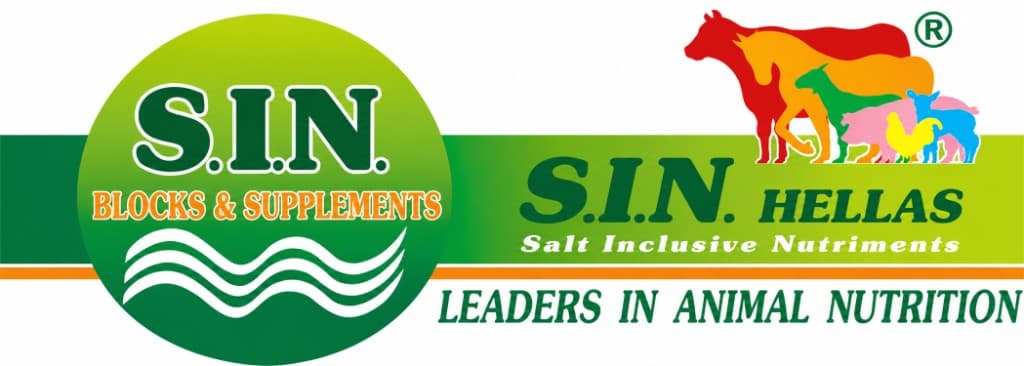 S.I.N. Hellas, Blocks and Supplements